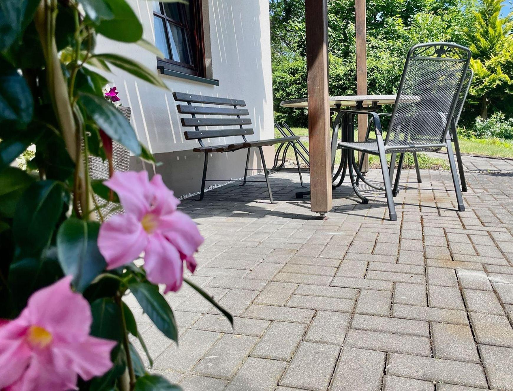 Ferienwohnung-Am-Suedhang Muglitztal Exterior foto